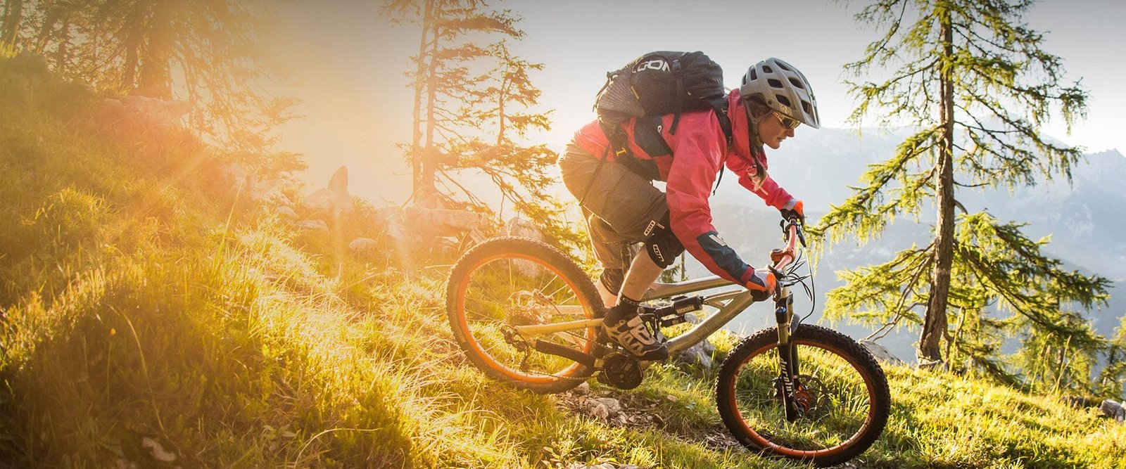 Mountainbiker in Forstau