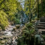 Idylle am Eifersbacher Wasserfall