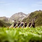 Alphornbläser im Stubaital