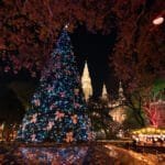 Vienna 2 christmas tree at vienna christmas market rathaus 2023 11 27 04 48 47 utc | austriabooking.at