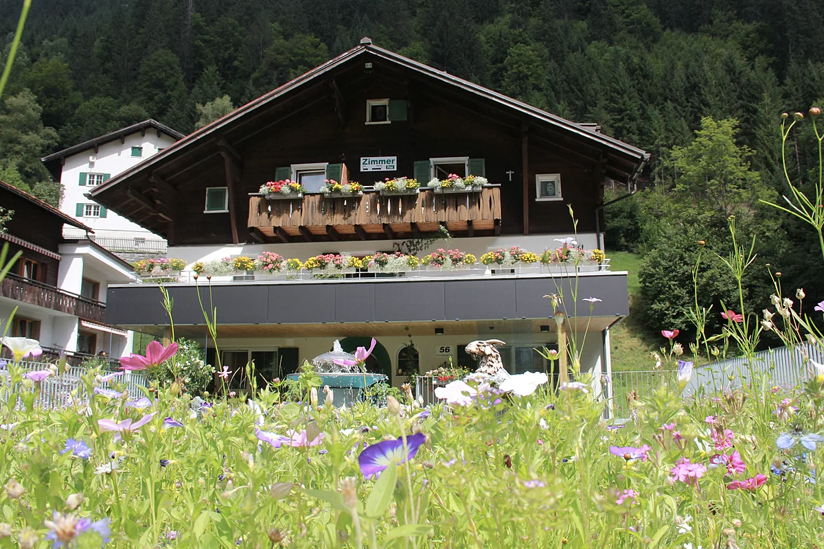 Hauptbild